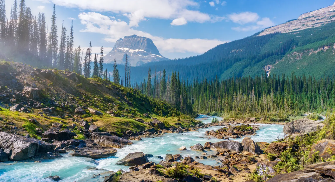 Traveling Sustainably_ Eco-Friendly Destinations & Tips for a Greener Trip